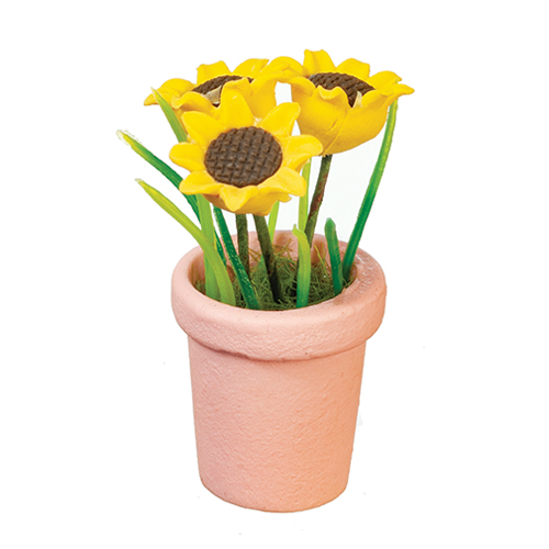 Flower in Pot